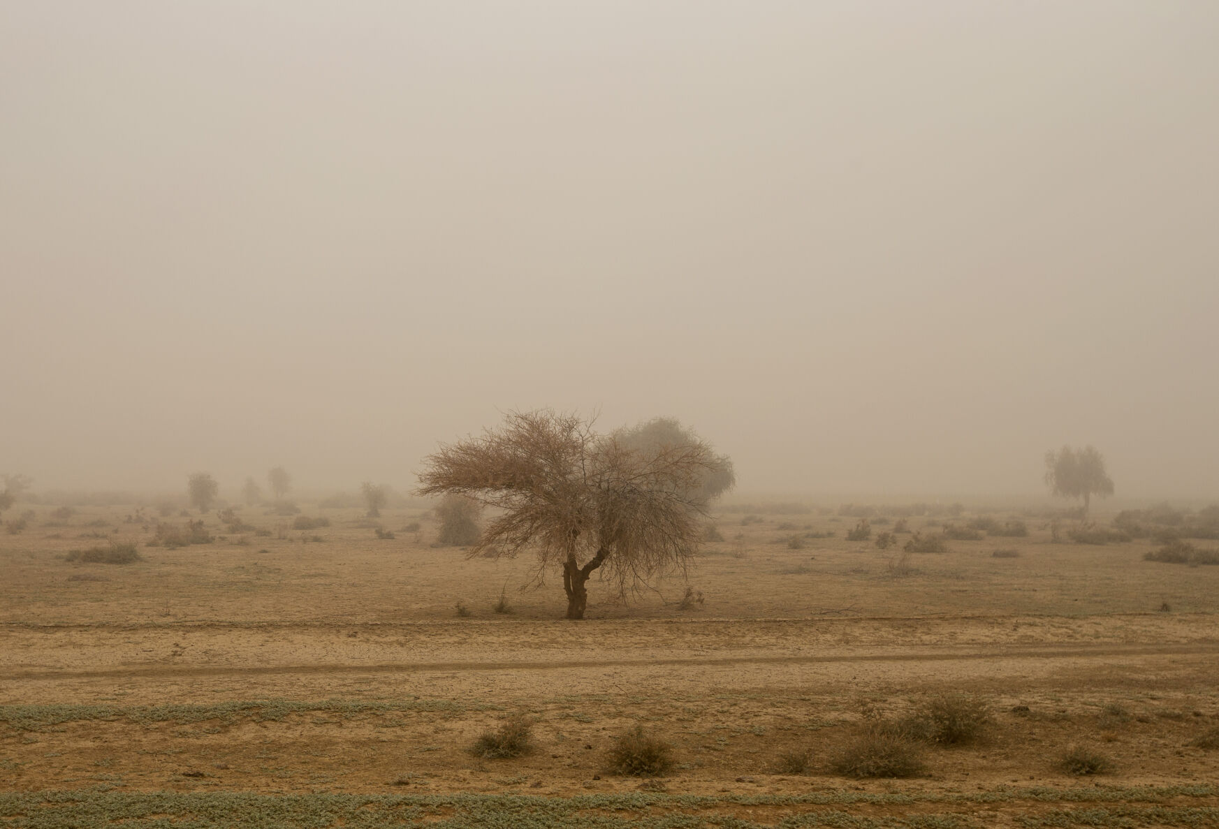 isleofmorfillandscape.JPG